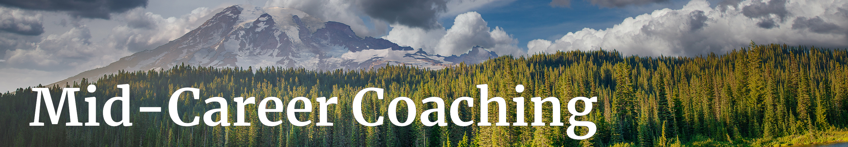 midcareercoaching2